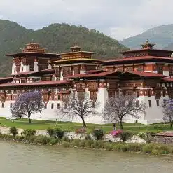 Le Punakha Dzong